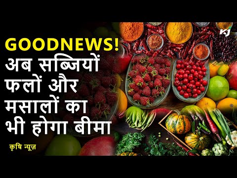 खुशखबरी! अब सब्जी, फल और मसाले का भी होगा बीमा, किसानों को मिलेगा मुआवजा | Good News | Horticulture