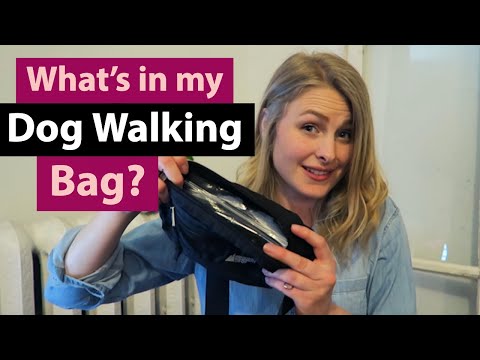 What's in my DOG WALKING bag?