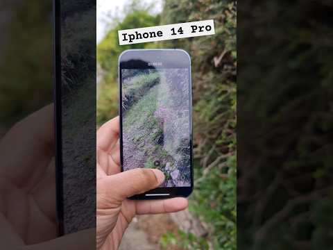 Iphone 14 Pro Video Shake Test