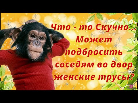 Позитивчик для Моих Друзей! Классная и Весёлая Музыкальная Открытка для Настроения!  Минутка Смеха!