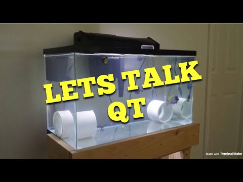 Let’s Talk QT - What method to use?