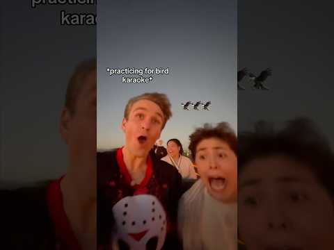 ride a ROLLERCOASTER with me & Carter Kench 🎢 w Mattie Westbrouck- #shorts