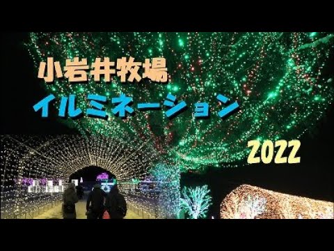 【小岩井】イルミネーション2022