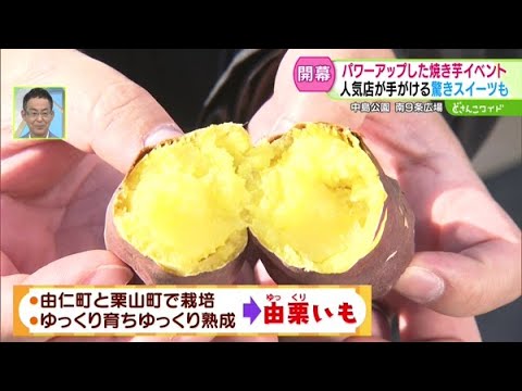 極上の“焼き芋”大集合！焼き芋テラス開幕【どさんこワイド179】2024.10.25放送