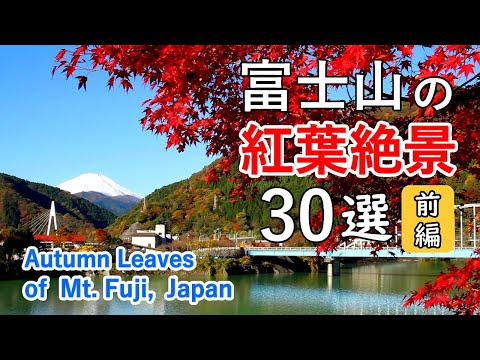 Top 30 best views of Mt. Fuji & Autumn Leaves Part 1 / Lake Kawaguchi, Lake Tanzawa, Hakone, etc.