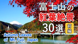 Top 30 best views of Mt. Fuji & Autumn Leaves Part 1 / Lake Kawaguchi, Lake Tanzawa, Hakone, etc.