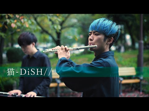 【フルート&ピアノ】DISH// 『猫』【the green horn cover】