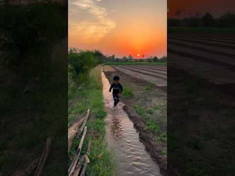 गाँव की ख़ूबसूरती #villagelife