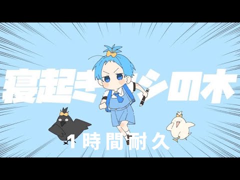 【1時間耐久】寝起きヤシの木／ころん