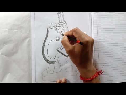 Class 10 Biology practical drawing /Microscope drawing/ যৌগিক আনুবীক্ষণ যন্ত্ৰ ।