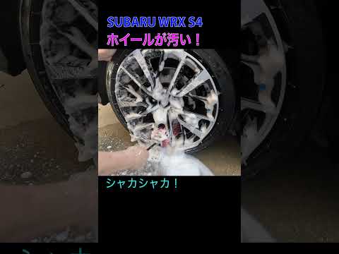 ホィールの奥を洗ってみたら気持ちよかった! WRX S4(VBH) #shorts