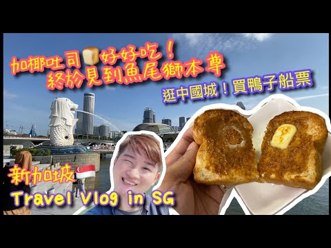 【新加坡🇸🇬旅行Vlog 】喜園-加椰吐司🍞 香甜可口 來杯Kopi O Kosong｜參觀中國城買鴨子船票｜來去魚尾獅公園終於見到本人了｜TRAVEL VLOG IN SG