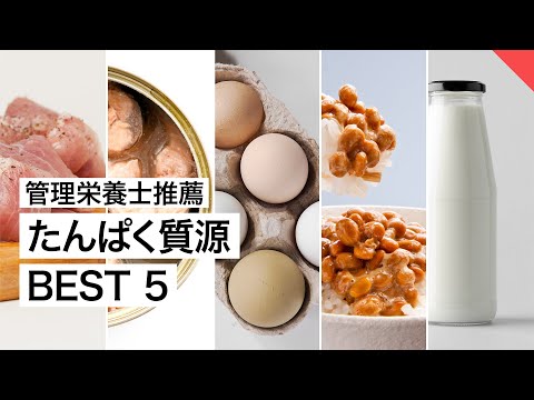 【管理栄養士推薦】お勧めの たんぱく質源 BEST5 | 管理栄養士が解説【ビーレジェンド FEM】