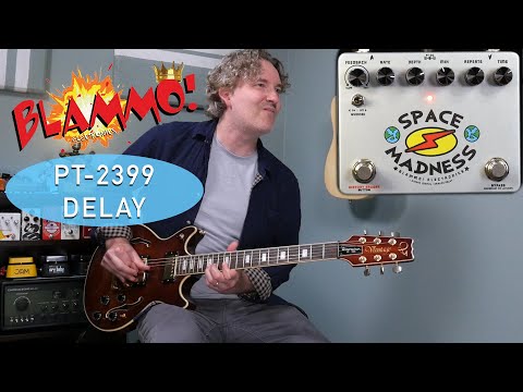 BLAMMO! Electronics -  Space Madness Delay