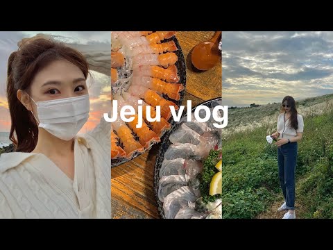 JEJU🍂🌴 | 고등어회 | 우무 | 집의기록상점 | 도리화과 | 금오름 | 일몰 포인트