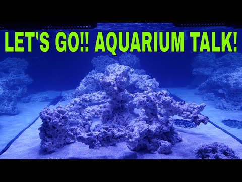 LET"S GO!! AQUARIUM TALK!!!