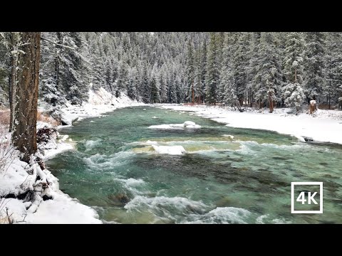 4K Winter Wonderland | Snowy Mountain River Rapids | Winter Nature Scene | Water Sounds White Noise