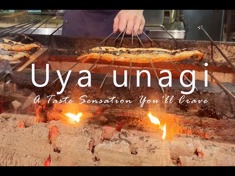 UYA Unagi, Wheelock: The Best Charcoal-Grilled Unagi in Singapore 超好吃炭烤生鳗鱼