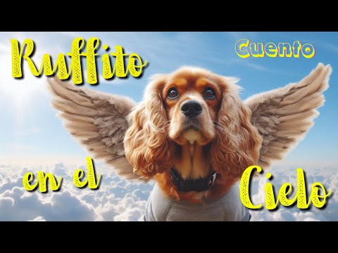 Cuento: Ruffito en el Cielo 🌈🐾#perritosenelcielo #HomenajeAMiPerrito #SiempreEnMicorazón #Mascotas