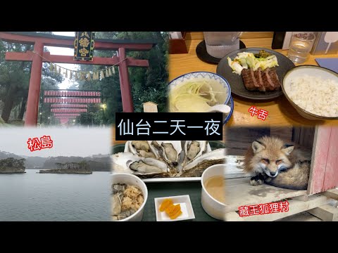 【仙台vlog】仙台二天一夜怎麼玩？交通套票、市區、松島交通方式/景點/牡蠣🦪、冬天必去藏王狐狸村🦊