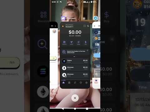 how to connect chill guy xmas to phantom wallet? | Click Verify Connection ✅