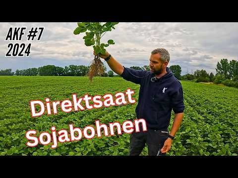 AKF #7 2024 How are the soybeans? A quick look at the corn!