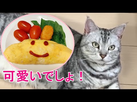 オムライスさんが物申す！猫のあんなちゃんの関西弁おしゃべりペット