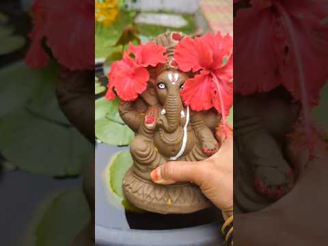 Ganesh nimajjanam #ganeshnimajjanam #ganeshvisarjan #shortsfeed