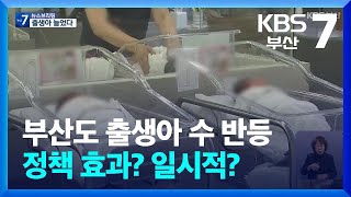 합계출산율·출생아 수 반등…정책 효과? 일시적? / KBS  2025.02.26.