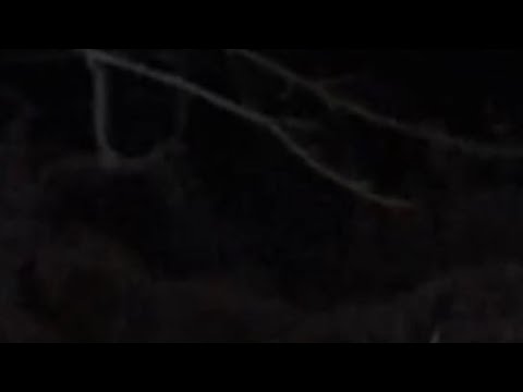 Pluckley forest part 2 the uks most haunted forest !!!