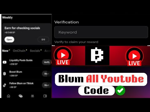 Blum's All Youtube Video Code Today | Claim Your Token Now  #blum #code