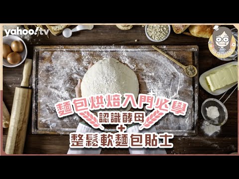 【認識酵母】麵包烘焙必學酵母用途與類別！