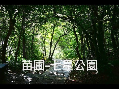 陽明山 | 百拉卡公路 | VLOG | 苗圃 | 七星公園 | 我的少女時代 |