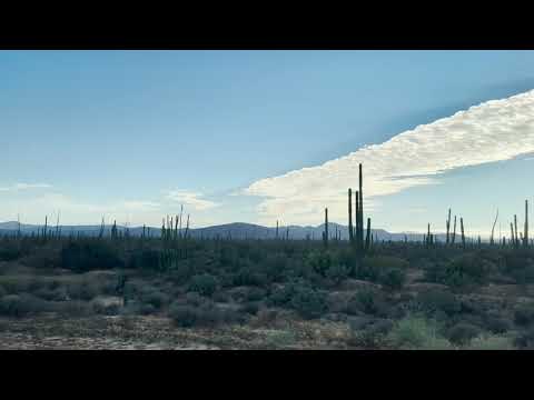 Baja California landscapes