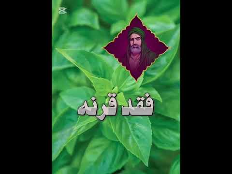 حكم واقوال الامام علي عليه السلام