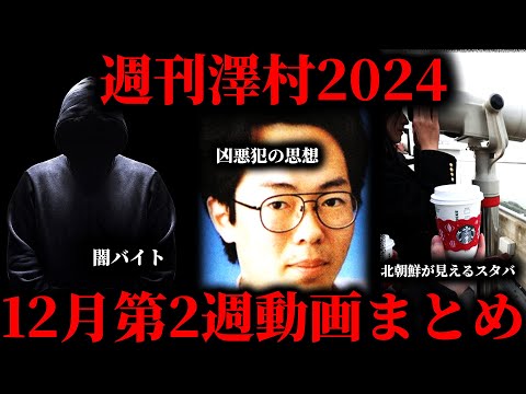 【週刊澤村2024】12月第2週たっくー動画まとめ【たっくー切り抜き】