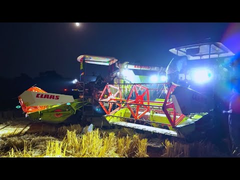 Double Harvester Paddy Harvesting | Solis 4515 4X4, Massey Ferguson 246 4X4 & John Deere 5045 4X4