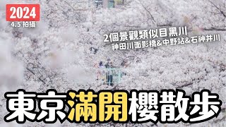 東京櫻花現況2024🌸 目黑川大修剪不壯觀可去哪？3 個現正滿開賞櫻地 神田川面影橋 中野站天橋西武電車櫻花 石神井川｜日本旅遊 4K VLOG