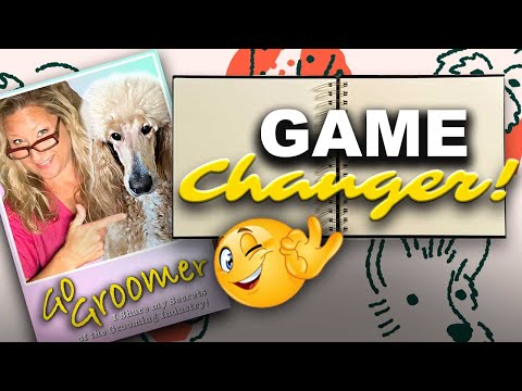 How I IMPROVED my Dog Grooming as a Beginner