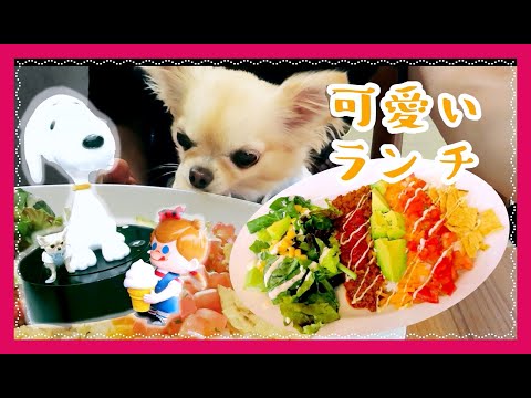 犬と一緒の可愛いランチ 🌮南町田グランベリーパーク🌲チワワ〜Cute lunch with dog 🐶Minami Machida Granberry Park 🌻Chihuahua