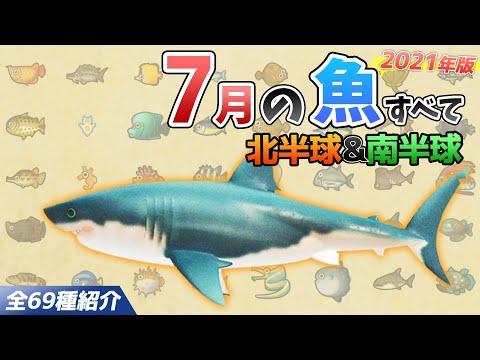 【あつ森】7月に釣れる魚を全て紹介！魚影や出現場所、時間、条件、買取値段など徹底解説！サメやピラルク、ナポレオンフィッシュ、シイラなどレア魚が大量【あつまれどうぶつの森　7月の魚図鑑コンプリート】