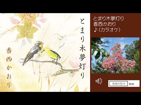 とまり木夢灯り　香西かおり　♪COVER　uguis karaoke（カラオケ）