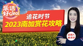 圈好日历，南加春季踏青赏花攻略，各品种鲜花最佳观赏时节都在这了，十多片花海等你来打卡！乐活好Deal 2023/03/29