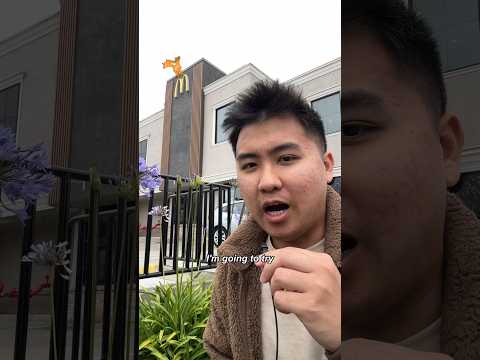 I Tried EVERY Unpopular McDonald’s Item 🐟🤨