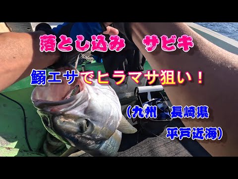 Drop fishing (boat fishing) (aiming for bluefish, yellowtail amberjack) (off the coast of Hirado, Ik