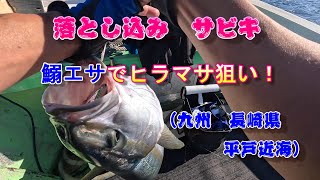 Drop fishing (boat fishing) (aiming for bluefish, yellowtail amberjack) (off the coast of Hirado, Ik