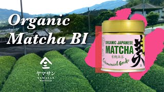 Ceremonial Grade Organic Matcha from Uji, Kyoto, Japan【抹茶 - 美】