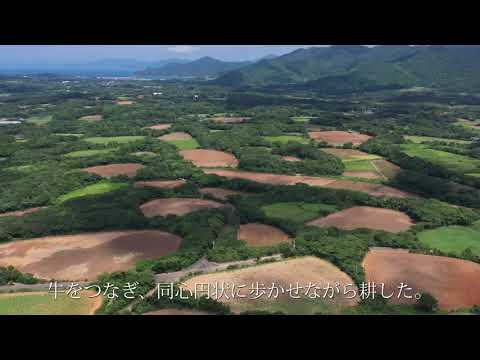 【空中散歩・ドローン空撮】五島・円畑　柔らかな曲線　牛が描いた伝統農地