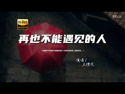 王理文 - 再也不能遇见的人♫『动态歌词 | 高音质 | pinyin Lyrics | 每日歌单推荐』