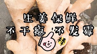 生姜保存方法